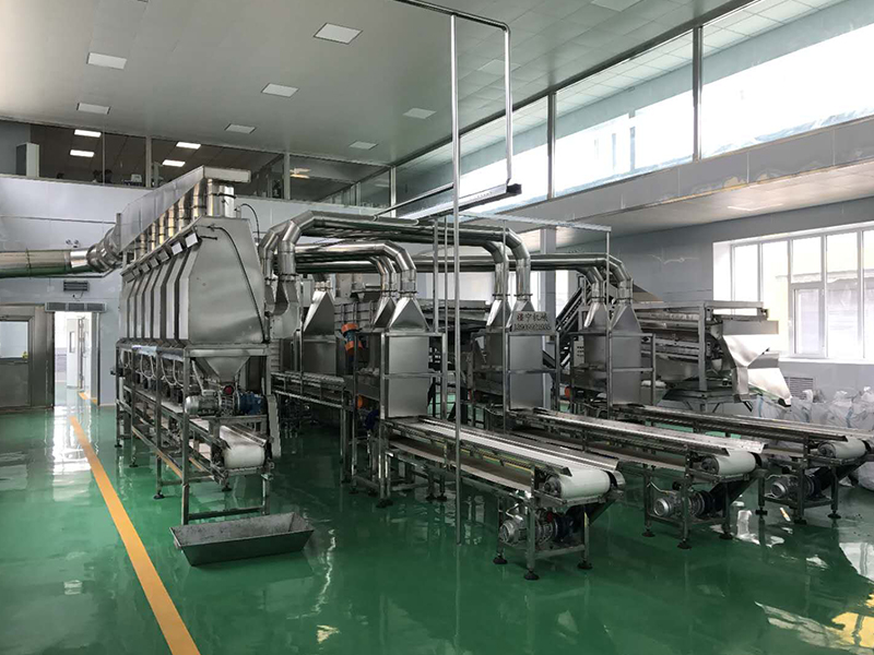 影响核桃油加工设备价格的因素有哪些？